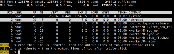 triple-click in foot on a top(1) output line highlights the whole line